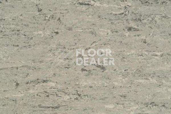 Линолеум LINODUR SPORT 1056 Marble Grey фото 1 | FLOORDEALER